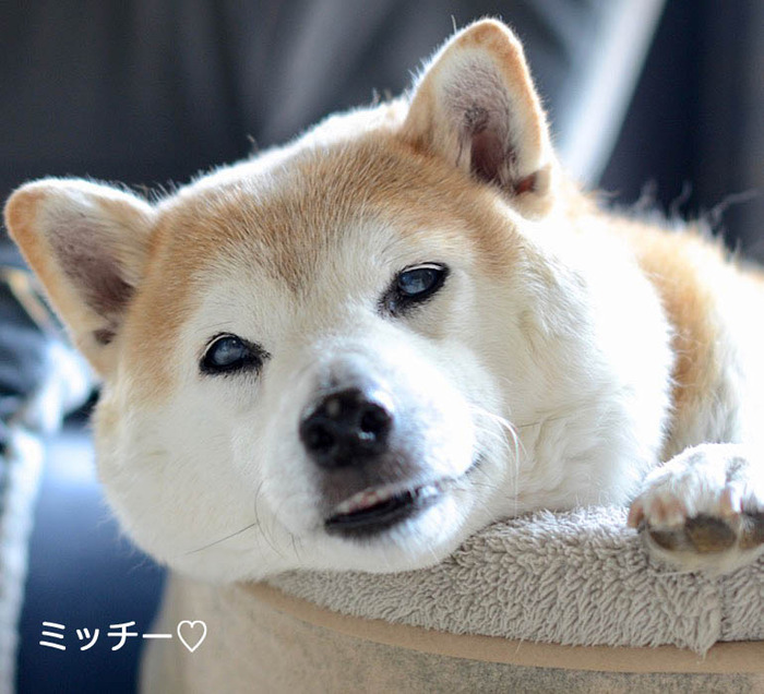 24日ブログ8