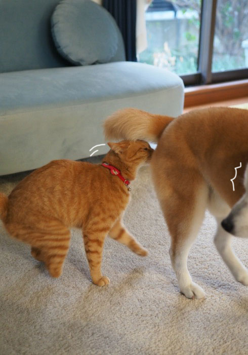 23日ブログ3