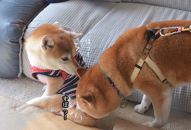 29日ブログ4