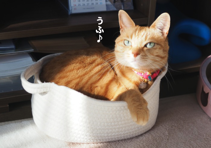 24日夕ブログ３