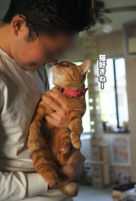 13日ブログ６