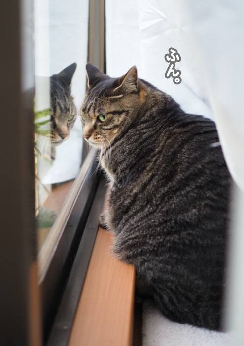 3日夕ブログ３