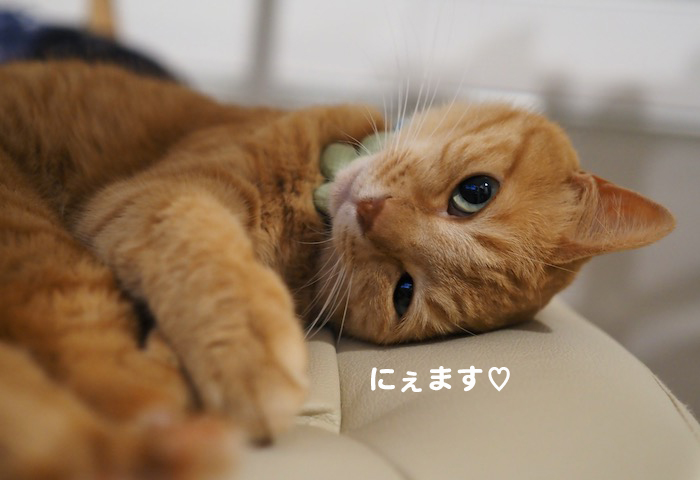 6日夕ブログ８-(1)