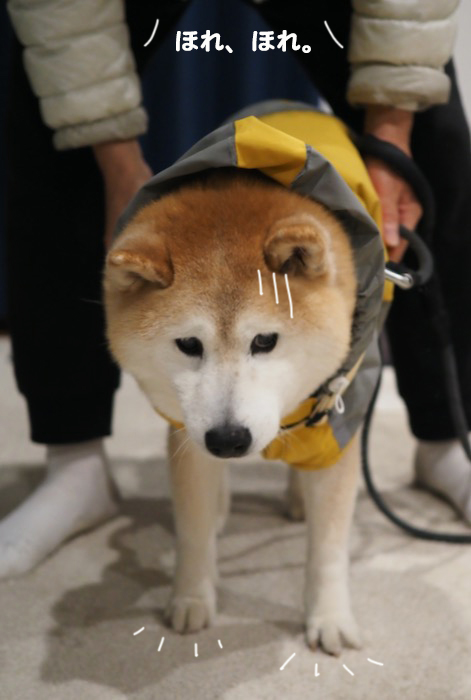 29日ブログ6