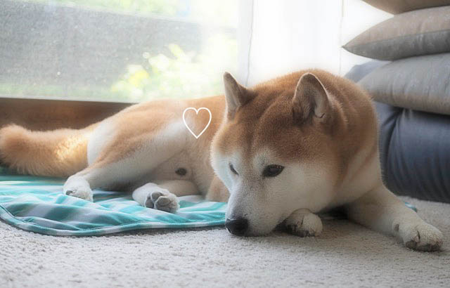 15日ブログ9