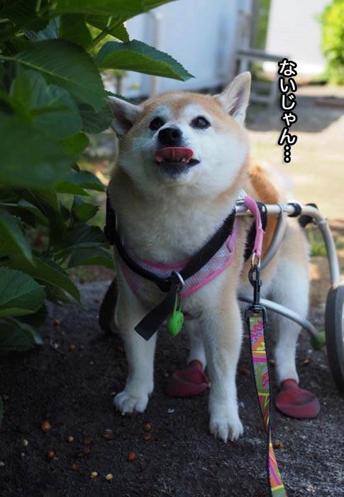 27日ブログ６
