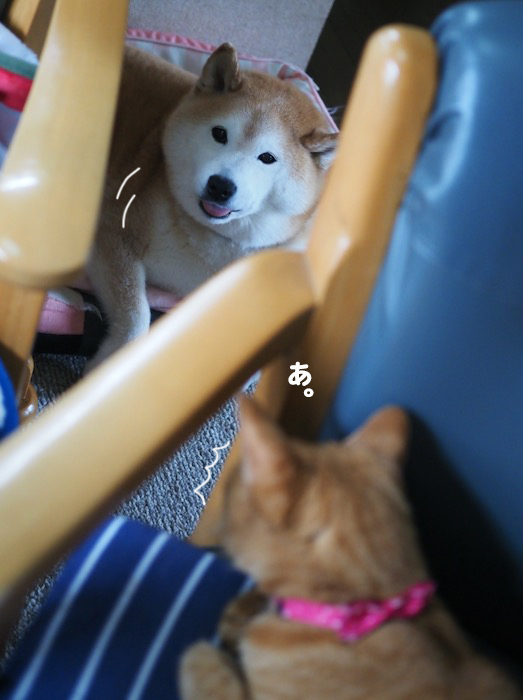 15日夕ブログ２