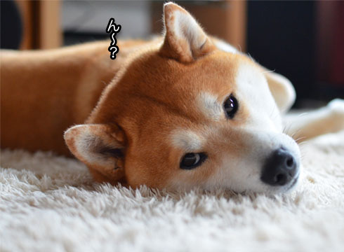 27日ブログ9.jpg