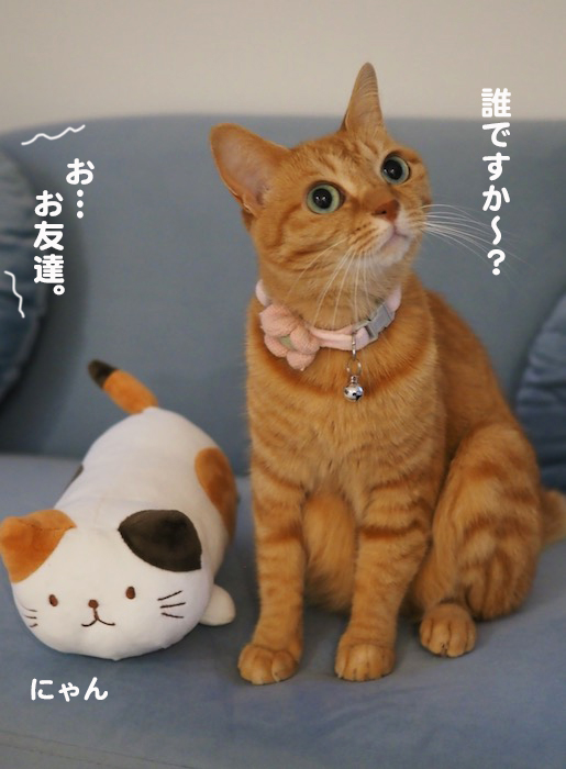 2日夕ブログ８