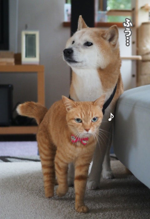 15日ブログ３