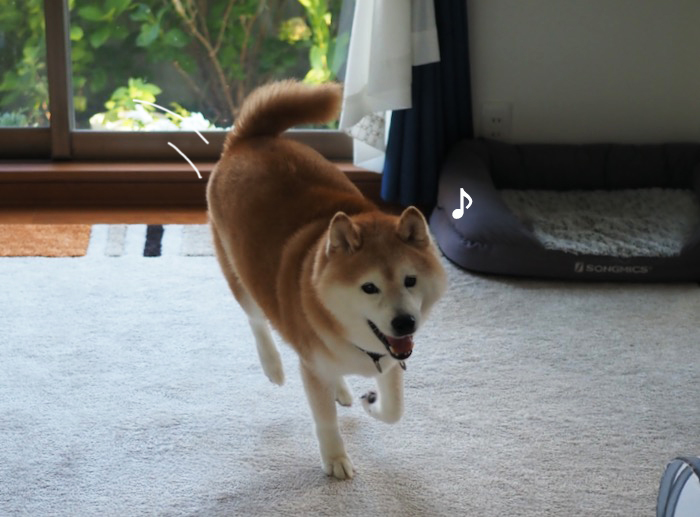 19日ブログ４