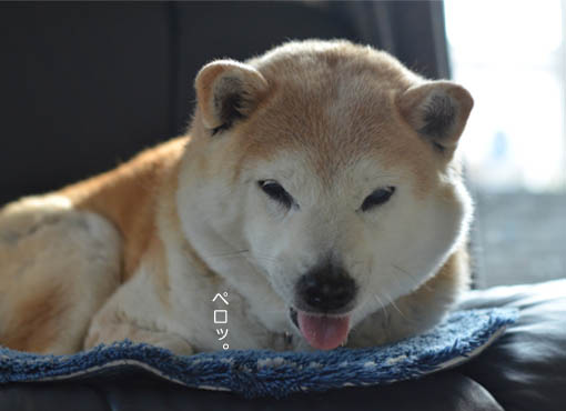 24日ブログ6.jpg