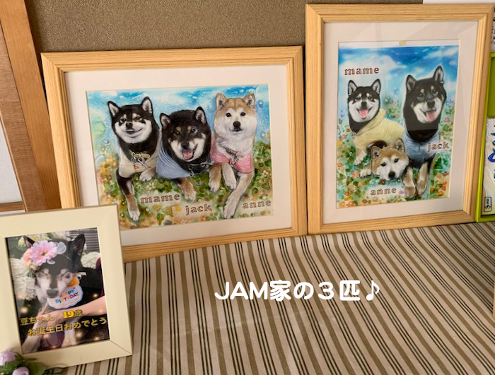 29日夕ブログ７