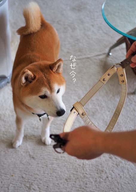 20日ブログ４