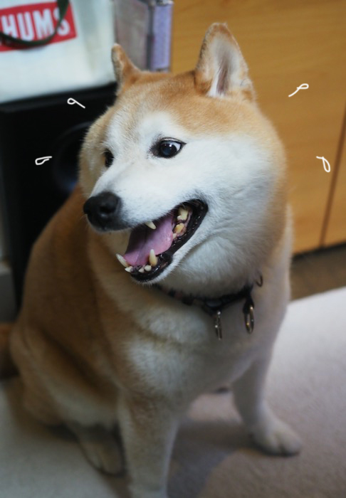 12日夕ブログ３