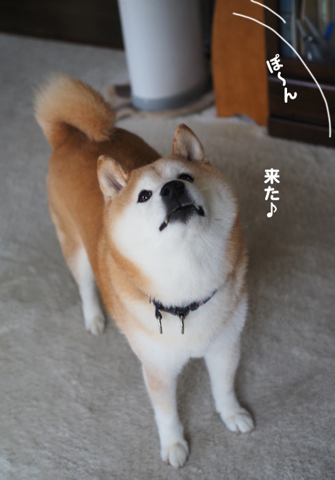 23日夕ブログ４