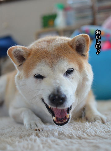 31日ブログ7.jpg