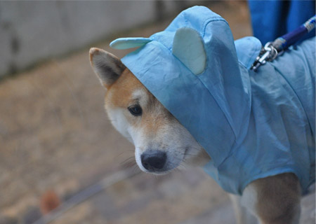 17日ブログ2.jpg