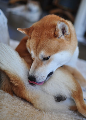9日ブログ11.jpg