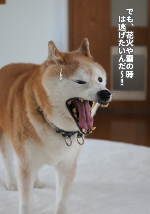 23日夕ブログ４