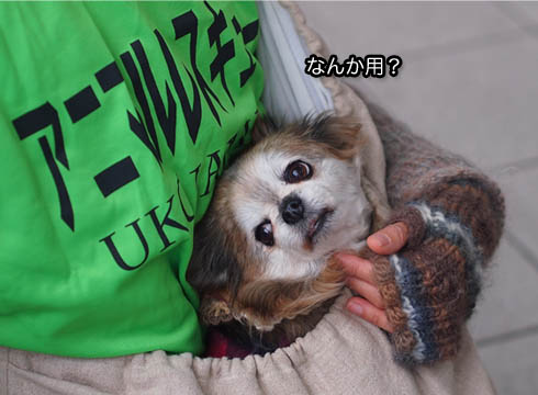 23日ブログ5.jpg