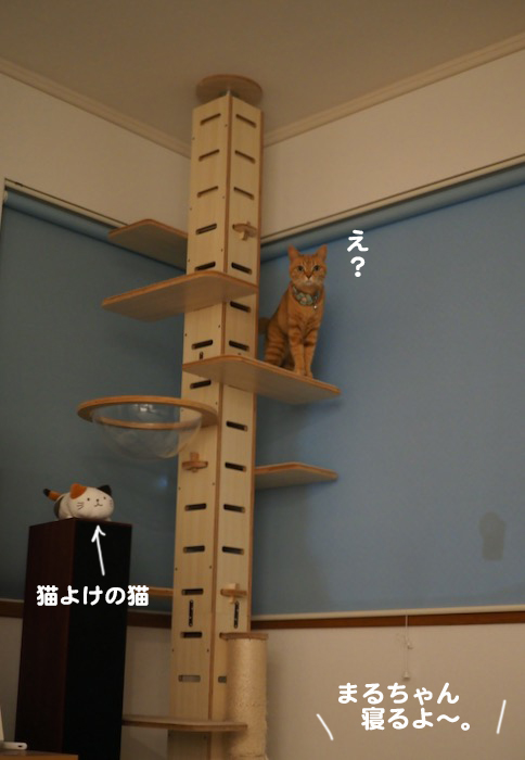 11日夜ブログ７