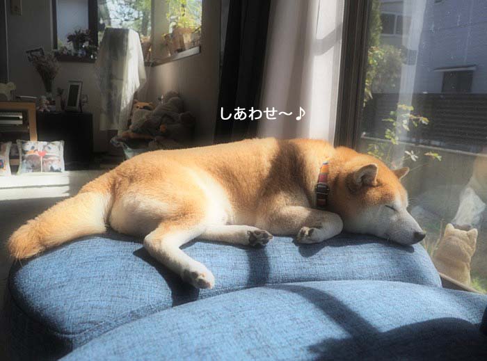 9日ブログ２