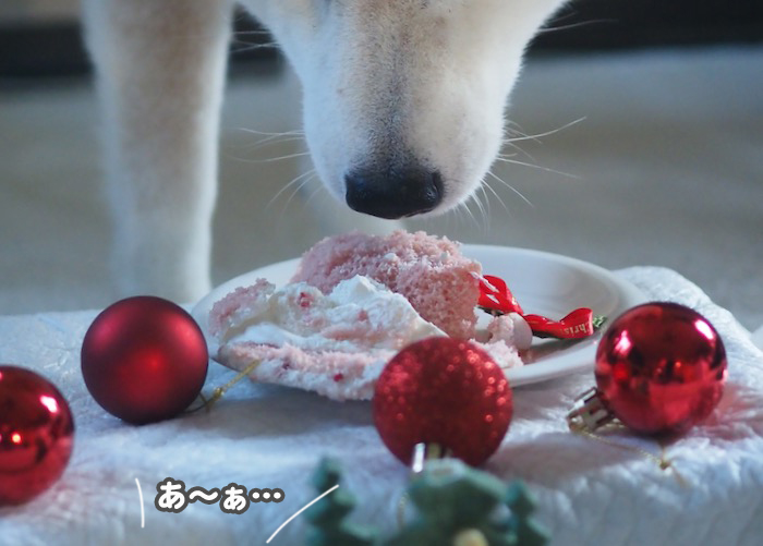 26日夕ブログ１０