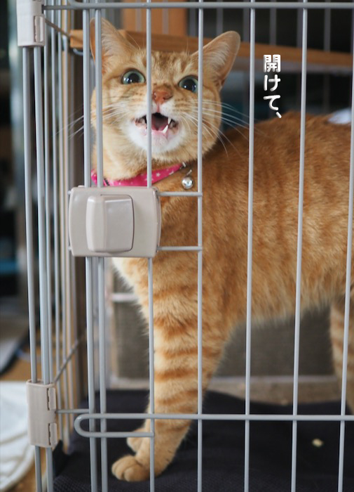 15日ブログ４