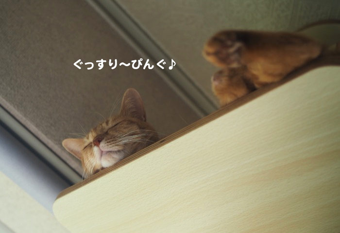 9日夕ブログ３