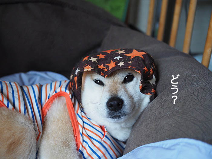 18日ブログ３