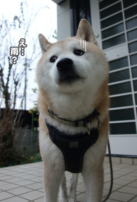 2日夕ブログ５