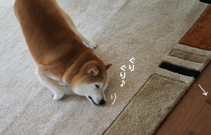 30日ブログ２