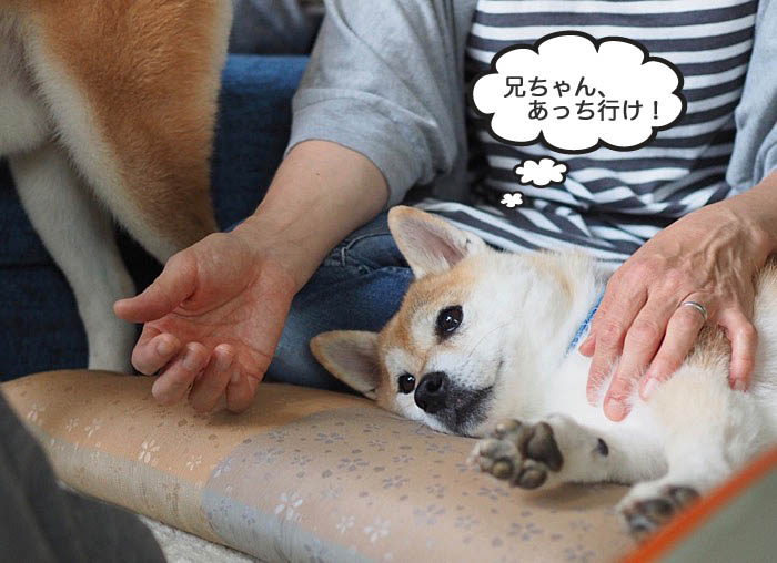 30日ブログ６