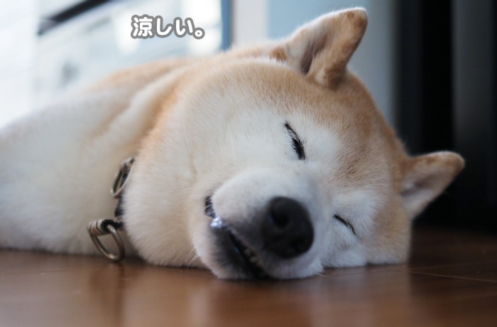 23日ブログ３