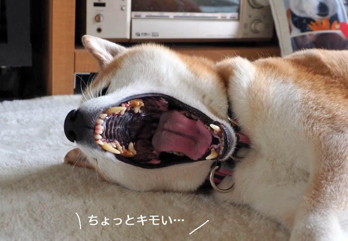 25日ブログ５
