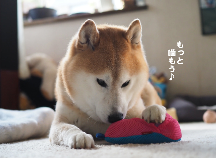 25日夜ブログ７