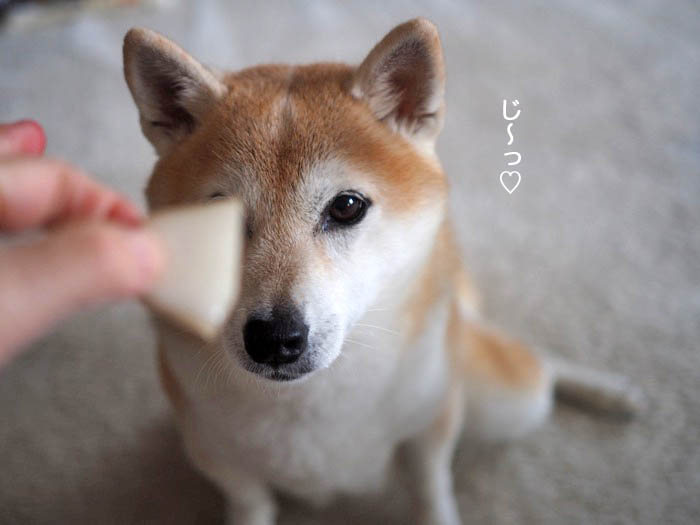 19日ブログ２