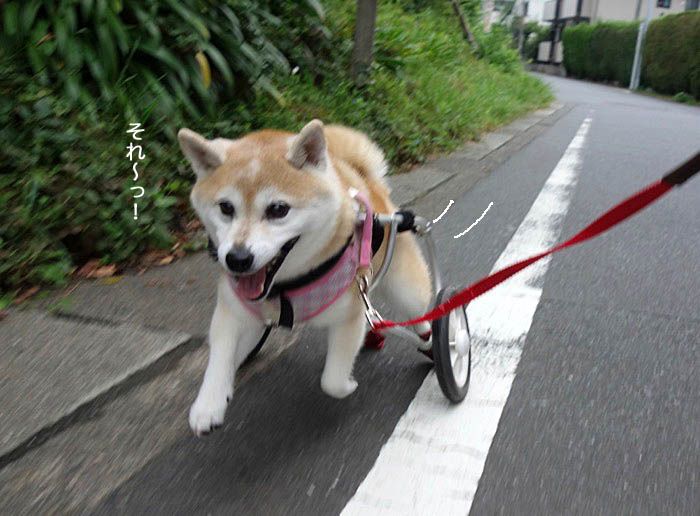 1日夕ブログ4