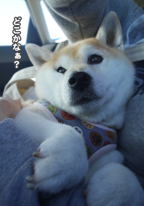 5日午後ブログ２