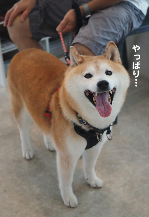 27日夕ブログ５