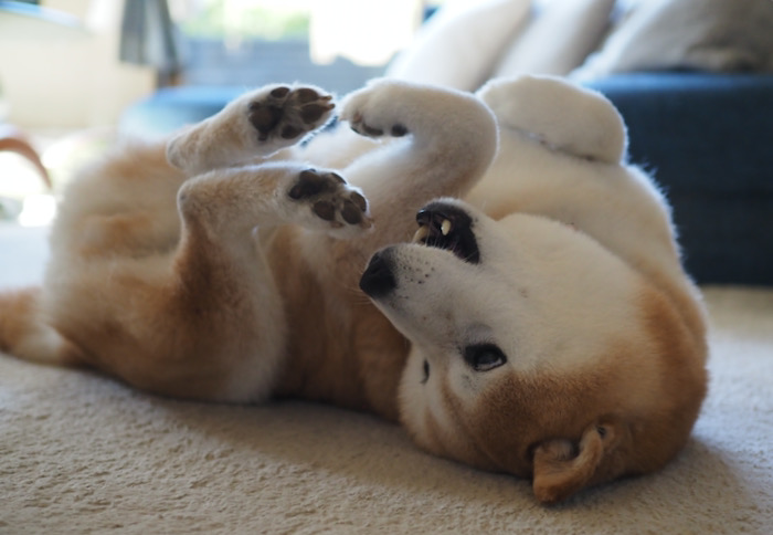 8日ブログ４