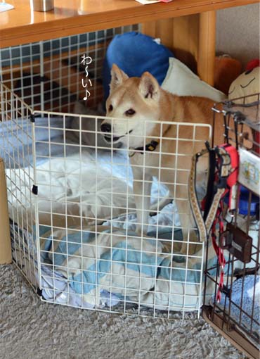 27日ブログ7.jpg