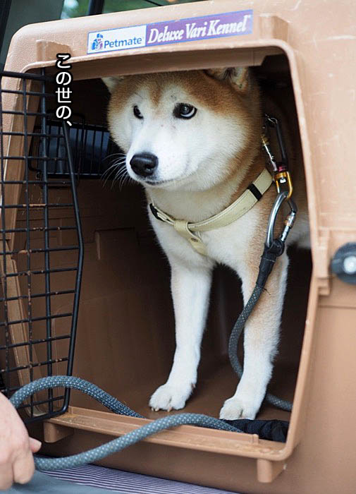 25日ブログ６