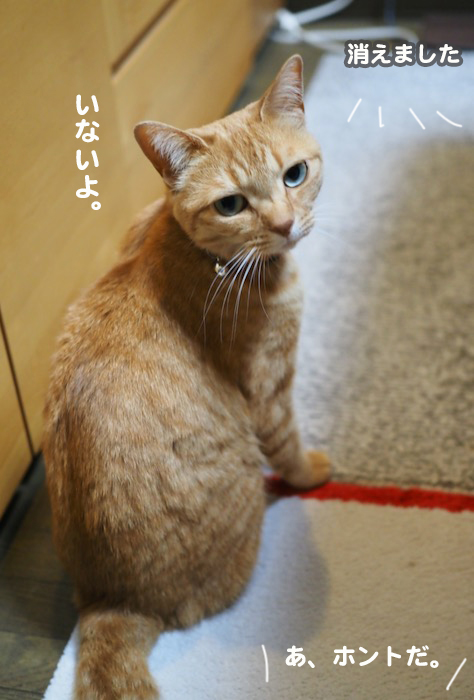 23日夕ブログ９