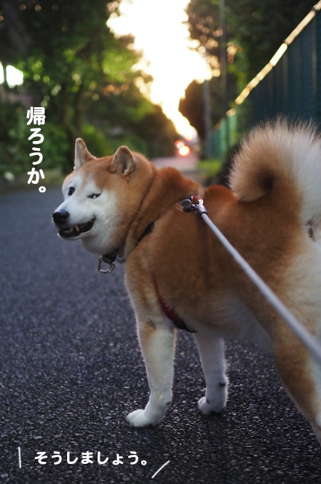 21日ブログ３