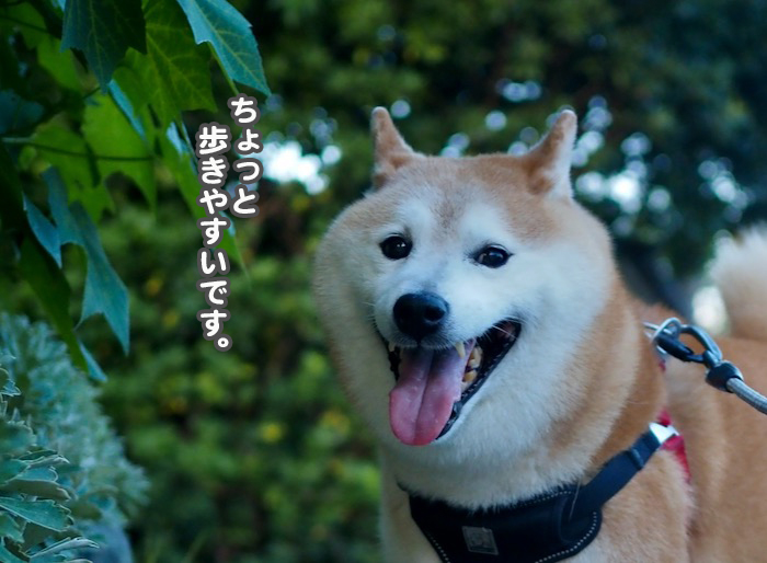 3日ブログ2