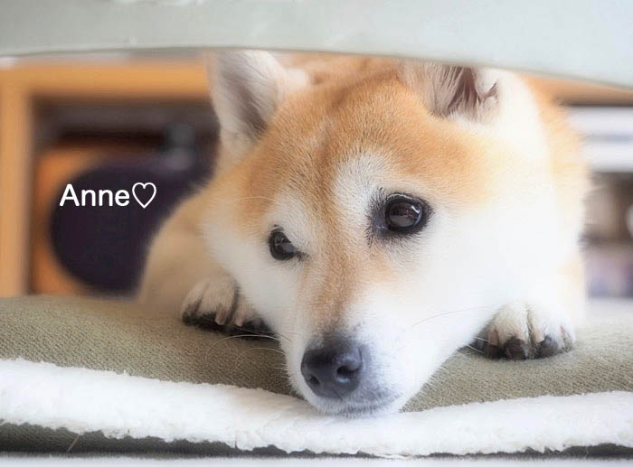 7日夜ブログ１