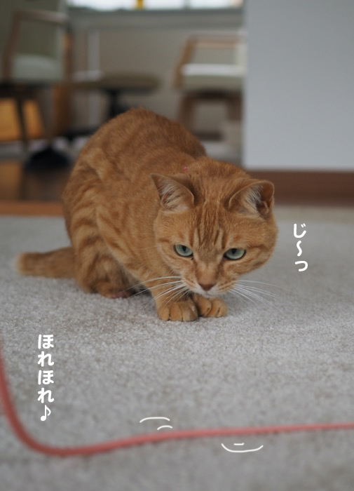 4日夕ブログ４