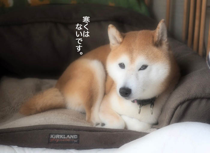 2日ブログ４